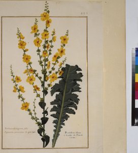  द्वारा एरिच लेसिंग