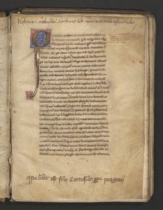  द्वारा एरिच लेसिंग