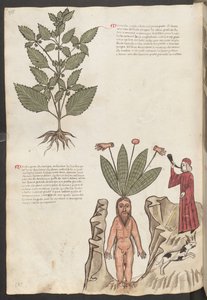  द्वारा एरिच लेसिंग