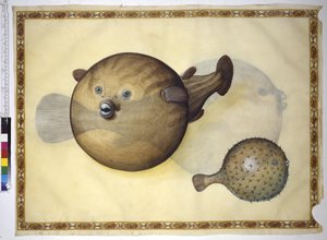  द्वारा एरिच लेसिंग