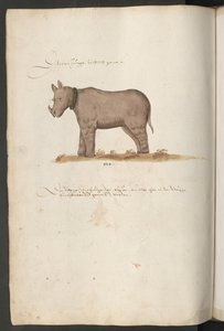  द्वारा एरिच लेसिंग