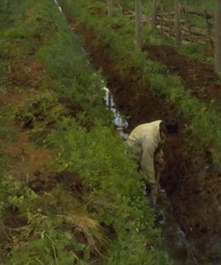 खाई खोदना द्वारा एरिक थियोडोर वेरेन्स्कील्ड