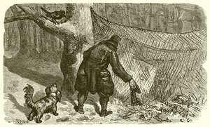द फाउलर एंड द ब्लैकबर्ड