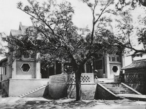  द्वारा अर्न्स्ट बोर्शमैन