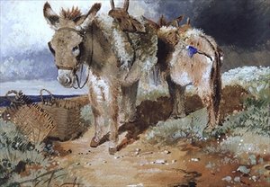 गधे, 1855