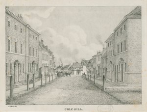 टैमवर्थ - कोल-हिल: लिथोग्राफ, एनडी [1796-1865]