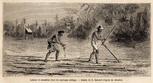 1858 से 1861 तक सियाम, कंबोडिया और लाओस के राज्यों के माध्यम से हेनरी मौहोट की यात्रा को चित्रित करने के लिए, कंबोडिया के जंगलों के निवासियों, ई.बोकोर द्वारा चित्रित जंगली स्टींग्स के बीच जुताई और बुवाई। "ले टूर डु मोंडे" में उत्कीर्णन , संपादित द्वारा एटिने गेब्रियल बोकोर्ट