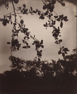  द्वारा यूजेन एटगेट
