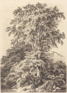 बीच ग्रोव, 1840। द्वारा यूजीन ब्लेरी