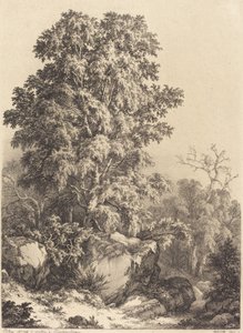 बीच ग्रोव, 1840। द्वारा यूजीन ब्लेरी
