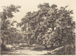 बांज द्वारा यूजीन ब्लेरी