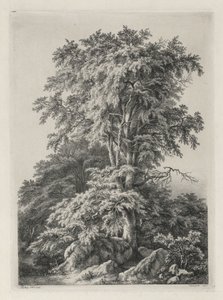 नेचर एंड द नेचर: द बीच, फॉनटेनब्लेउ ..., 1840। द्वारा यूजीन ब्लेरी