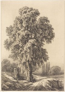 एल्म ट्री, 1840।