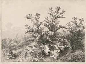 द ग्रेट थीस्ल ले ग्रैंड चारडन, 1843। द्वारा यूजीन ब्लेरी