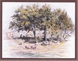 फ्रायर जुनिपर ने सूअर के पैर को काटकर एक बीमार आदमी को 1919 में दे दिया द्वारा यूजीन बर्नैंड