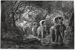 जंगल के रास्ते में, अभियान एक हाथी की पीठ पर यात्रा करता है। 1880 में डॉ. पी.नीस द्वारा "जर्नी इन अपर लाओस" कहानी को चित्रित करने के लिए यूजीन बर्नैंड द्वारा उत्कीर्णन। ले टूर डू मोंडे में प्रकाशित, नोव्यू जर्नल डेस वॉयेज, दूसरा सेमेस्टर 18 द्वारा यूजीन बर्नैंड