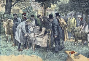 लुई पाश्चर (1822-1895), फ्रांसीसी जीवविज्ञानी ने भेड़, गायों और बकरियों के झुंड पर अपने एंथ्रेक्स वायरस मेलून एग्रीकल्चरल सोसाइटी के अनुरोध पर पौली-ले-फोर्ट में सफलतापूर्वक प्रयोग किया। डम्बलन्स का आरेखण। द्वारा यूजीन डंबलान्स