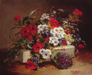 खसखस और Daisies