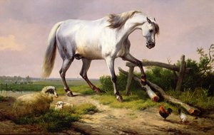 भेड़ और मुर्गी के साथ एक ग्रे स्टालियन द्वारा यूजीन जोसेफ वेर्बोकेवन