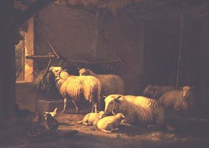 एक खलिहान में भेड़ और मुर्गी द्वारा यूजीन जोसेफ वेर्बोकेवन