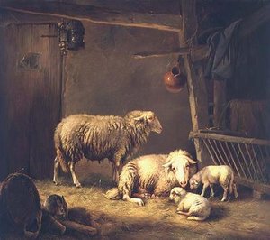 एक खलिहान में भेड़