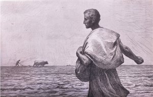 बोवर, बिबिस एनुअल, 1916-1917 द्वारा बर्नैंड के बाद यूजीन