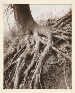  द्वारा यूजेन एटगेट