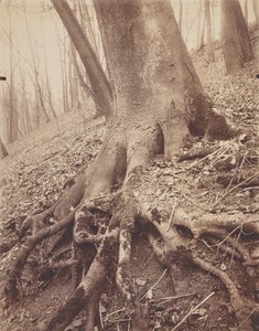  द्वारा यूजेन एटगेट
