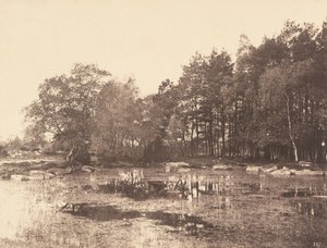 पियाट बेले-क्रिक्स पठार पर मार्श, सी। 1863. द्वारा यूजेन क्यूवेलियर
