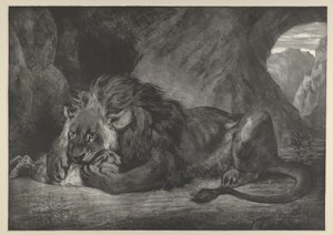 एटलस पर्वत का शेर, 1829-30।, 1829-30। द्वारा यूजीन डेलाक्रोइक्स