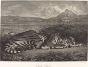 रॉयल टाइगर (टाइग्रे रॉयल) द्वारा यूजीन डेलाक्रोइक्स