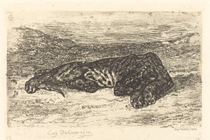टाइगर स्लीपिंग इन द डेजर्ट टाइगर स्लीपिंग इन द डेजर्ट, 1846। द्वारा यूजीन डेलाक्रोइक्स