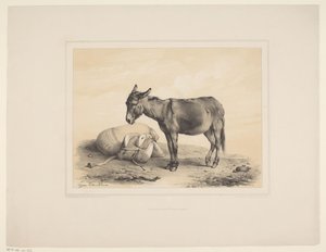  द्वारा यूजेन वर्बोकेहोवेन