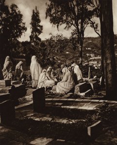  द्वारा यूरोपीय फोटोग्राफर