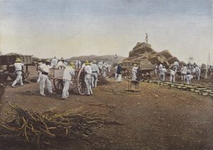 काम पर निंदा, नूमी द्वारा यूरोपीय फोटोग्राफर
