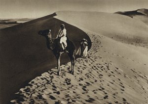  द्वारा यूरोपीय फोटोग्राफर