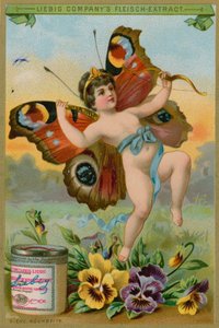 Pansies के साथ तितली चेरूब द्वारा यूरोपीय स्कूल