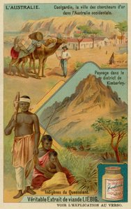 Goldrush शहर Coolgardie, Kimberley के आसपास का इलाका और क्वींसलैंड के आदिवासी द्वारा यूरोपीय स्कूल