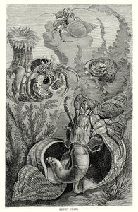  द्वारा यूरोपीय स्कूल