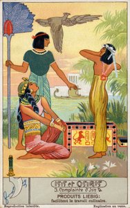  द्वारा यूरोपीय स्कूल
