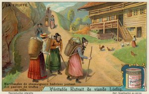Baden में मशरूम विक्रेता शहर में बिक्री के लिए ट्रफल्स ले जाते हैं द्वारा यूरोपीय स्कूल