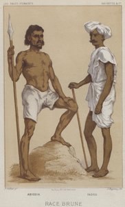 रेस ब्राउन, एबिसिनियन, हिंदू (क्रोमोलिथो) द्वारा यूरोपीय स्कूल