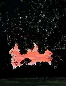  द्वारा इवान स्क्लर