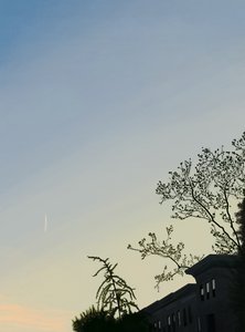  द्वारा इवान स्क्लर
