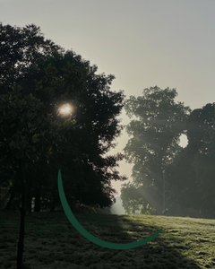  द्वारा इवान स्क्लर