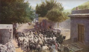 फिलिस्तीन, c1930s