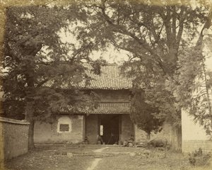  द्वारा फेलिस बीटो