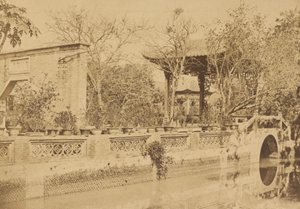  द्वारा फेलिस बीटो