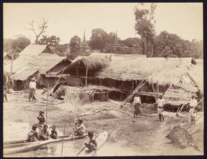  द्वारा फेलिस बीटो