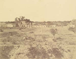  द्वारा फेलिस बीटो